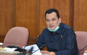 Wakil Ketua Komisi VI DPR RI, Martin Manurung